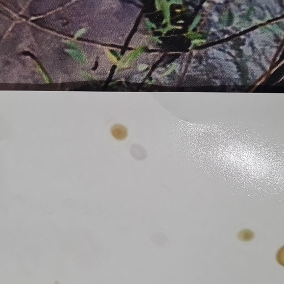 Sale! 16x20 St. Patricks Day Leprechaun Irish Blessing Watercolor‎ Oil Poster - Picture 8 of 9